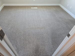 Clean carpet