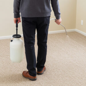 Spraying carpet first