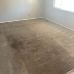 Home - image Carpet-Shampoo-Service-4-150x150 on https://tbirdcarpetcare.com
