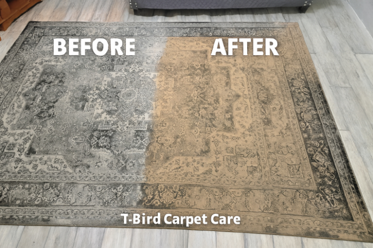 Rug cleaning