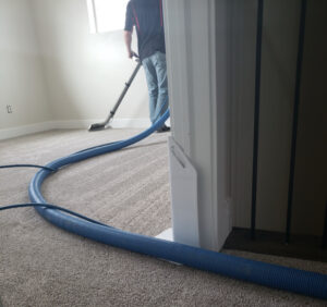 Carpet Cleaning Care By TBird Carpet Cleaning