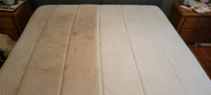 Upholstery Cleaning Services