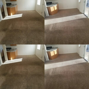 Carpet Cleaning