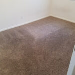 Carpet Cleaning near me