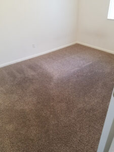 Carpet Cleaning near me