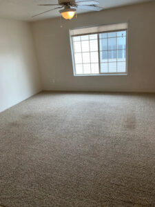 Carpet Cleaning