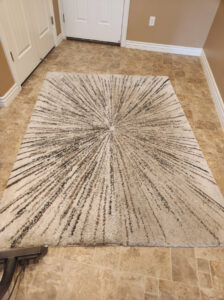 Rug Cleaning