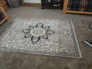 Rug cleaning