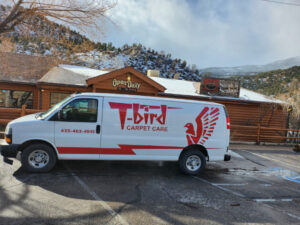 Commercial Carpet Care