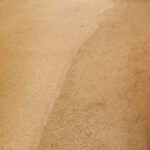 Time to clean your carpet