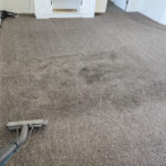 Time to clean your carpet and not with a rental machine
