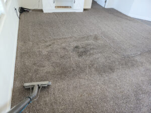 Time to clean your carpet and not with a rental machine