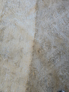 Even that rug you haven't ever cleaned