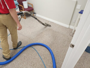 Carpet Cleaning Professionals