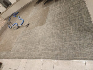 Carpet Cleaning Professionals