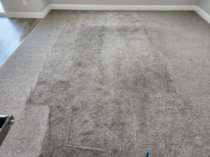 Carpet Cleaning Saint George