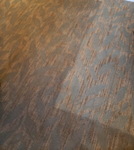 Carpet Cleaning Saint George