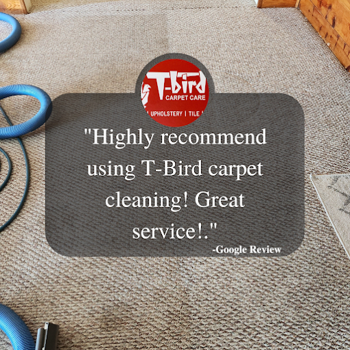 Professional Carpet Cleaning