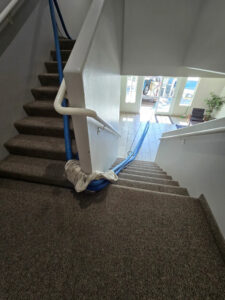 Professional carpet cleaning