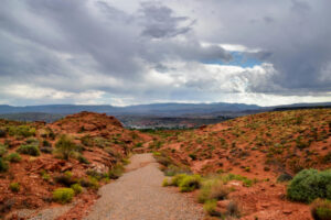Floor Cleaning St. George