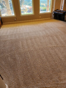 St. George Carpet Cleaning