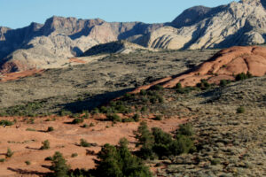 Enjoy the red rock but keep the red outside