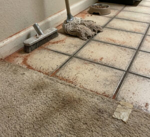 Tile cleaning St. George 