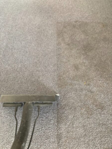 Allergies Carpet Cleaning St. George