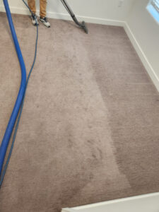 Benefits of Professional Carpet Cleaning