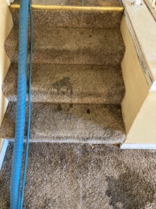 Stair Cleaning Services