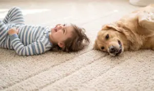 Whole House Carpet Cleaning