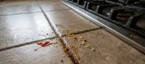 Why tile grout changes color