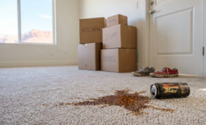 Apartment carpet cleaning near me