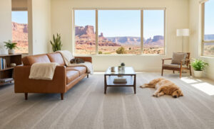 Cat Pee Carpet Cleaning