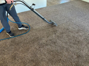 Hire Professional Carpet Cleaning Service in St. George