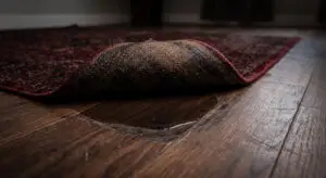 Rug Cleaning Service