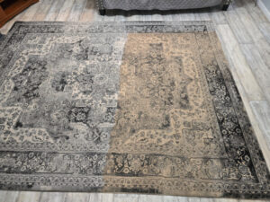 Rug Cleaning Service