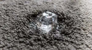 high traffic carpet areas