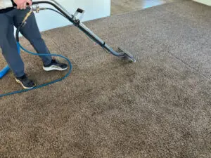 high traffic carpet areas