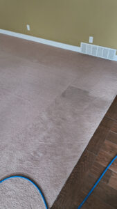 high traffic carpet areas